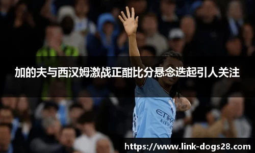 加的夫与西汉姆激战正酣比分悬念迭起引人关注