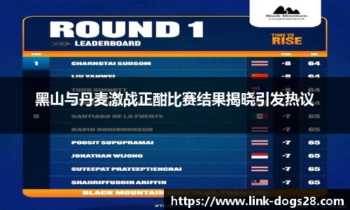 黑山与丹麦激战正酣比赛结果揭晓引发热议
