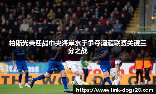 狗子28官网