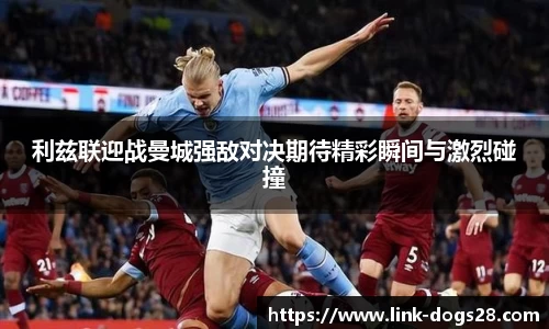 狗子28官网