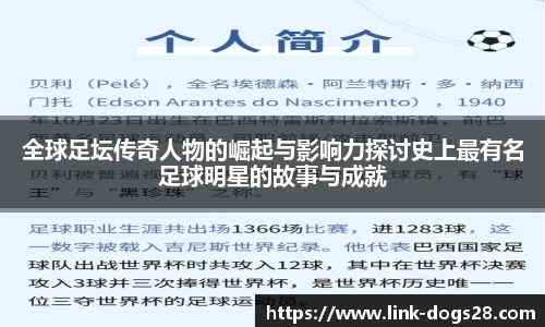 狗子28官网