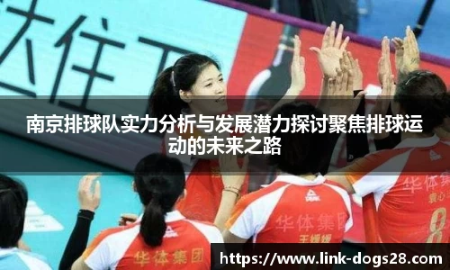 狗子28官网
